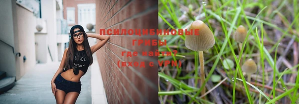 ГАЛЛЮЦИНОГЕННЫЕ ГРИБЫ Кодинск