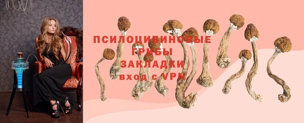 ГАЛЛЮЦИНОГЕННЫЕ ГРИБЫ Кодинск