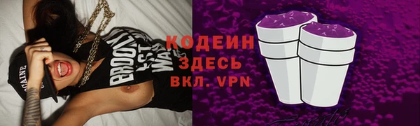 шишки Козловка