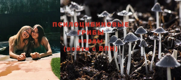ГАЛЛЮЦИНОГЕННЫЕ ГРИБЫ Кодинск