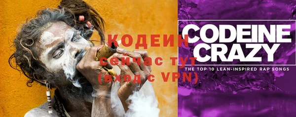 ГАЛЛЮЦИНОГЕННЫЕ ГРИБЫ Кодинск
