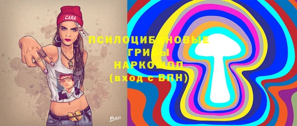 ГАЛЛЮЦИНОГЕННЫЕ ГРИБЫ Кодинск