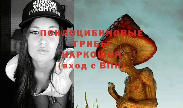 ГАЛЛЮЦИНОГЕННЫЕ ГРИБЫ Кодинск