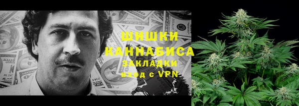 mix Козельск