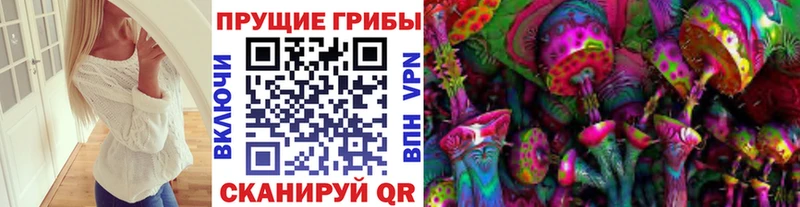 Псилоцибиновые грибы мухоморы Купить Мещовск